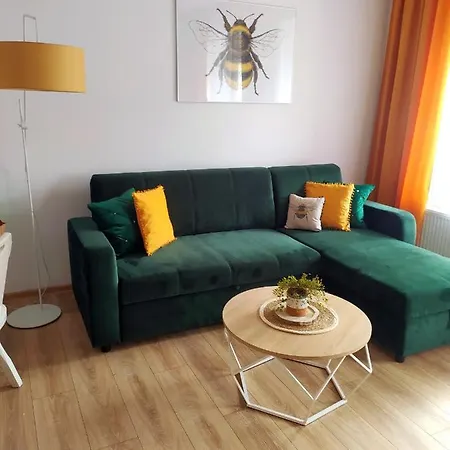 Apartment Miodownik Miedzylesie (Silesia)