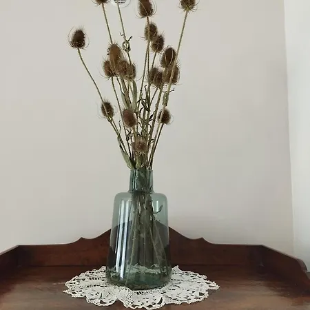 Apartamento Miodownik