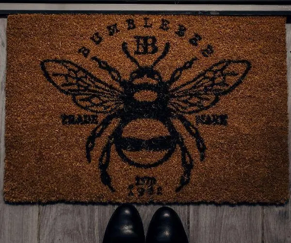 아파트 Miodownik 미에드지레시