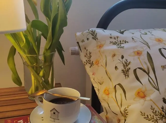 Miodownik Międzylesie